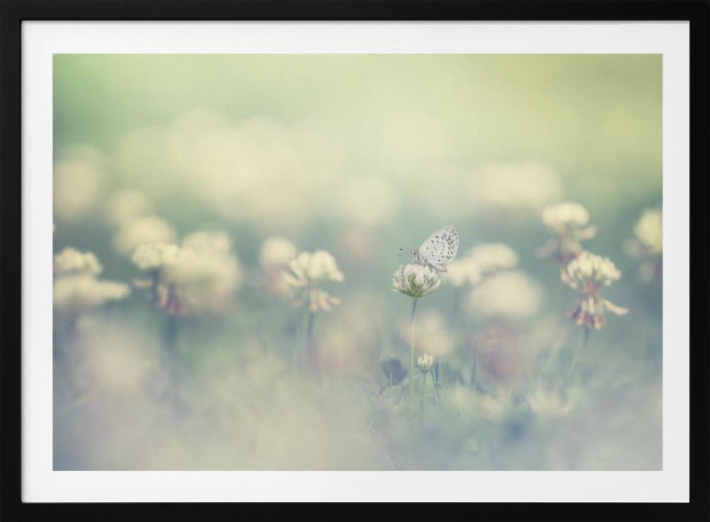 kleine Welt | Poster