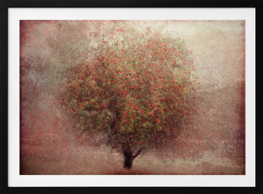 Apfelbaum | Poster