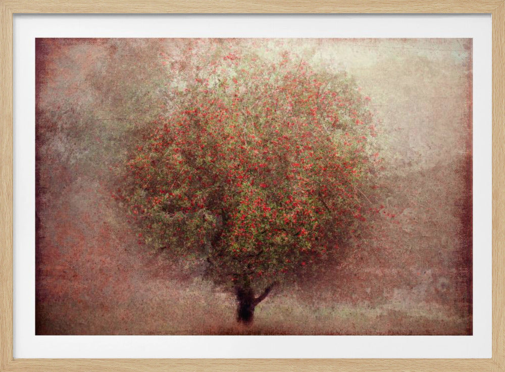 Apfelbaum | Poster