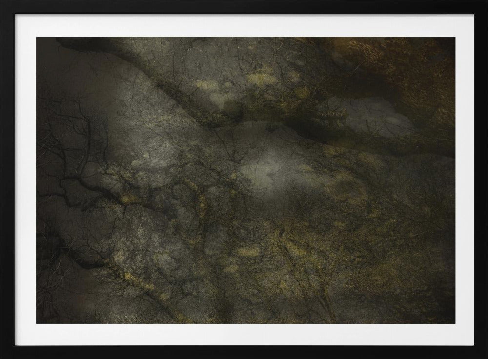 Alter Wald | Poster