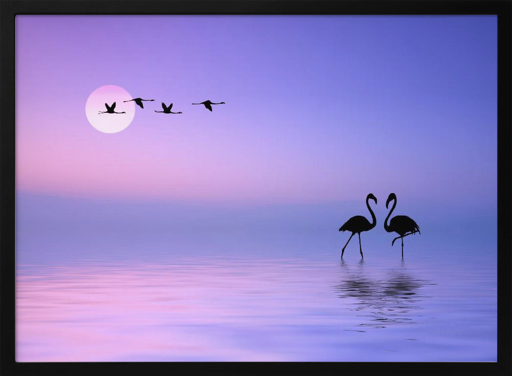 Fliegender Flamingo | Poster