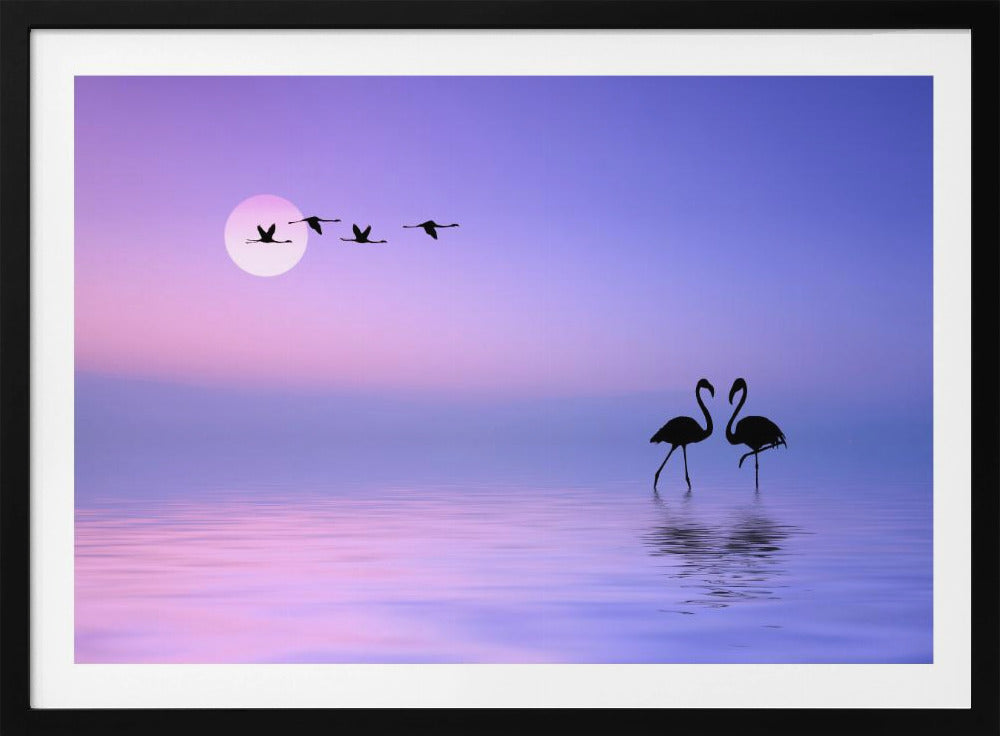 Fliegender Flamingo | Poster