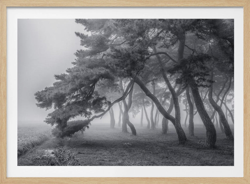 Immer | Poster