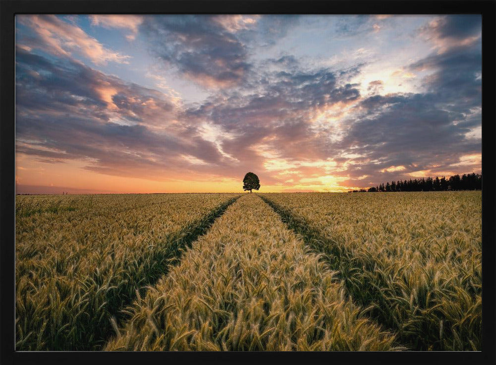Feld der Träume | Poster