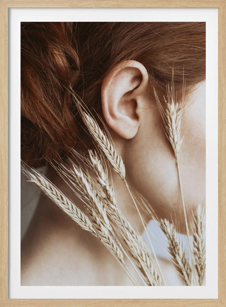 Roggen | Poster