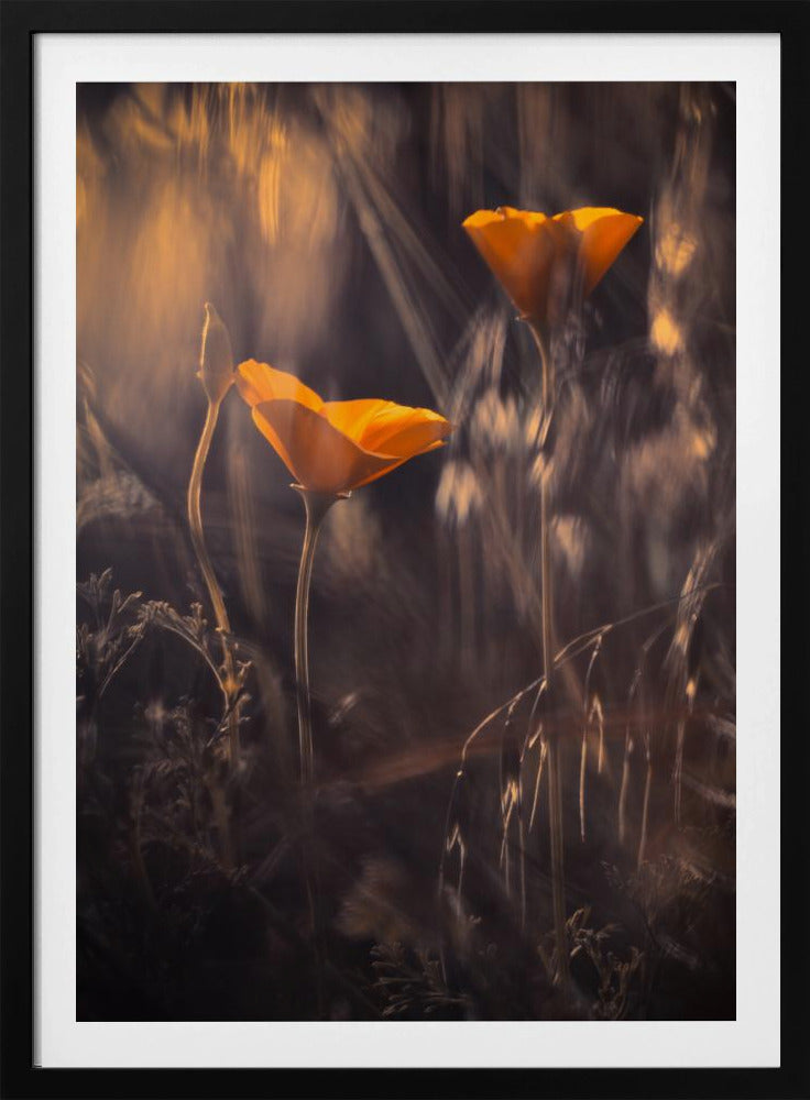 Aus dem verzauberten geheimen Garten | Poster