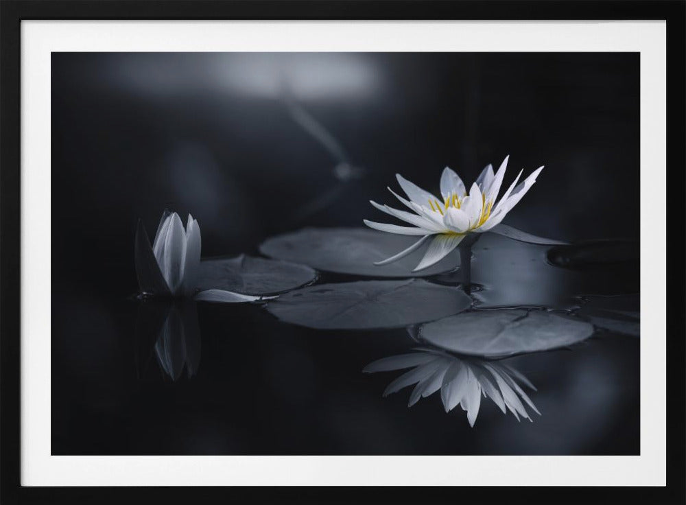 Reflection | Poster