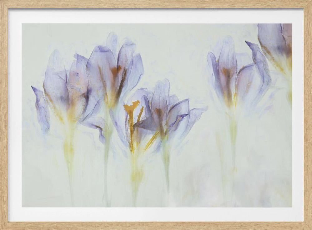 Frühling | Poster