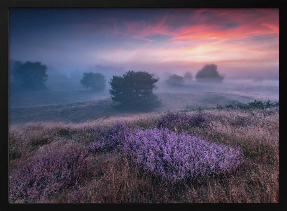 „Die Farben der Heide“ | Poster