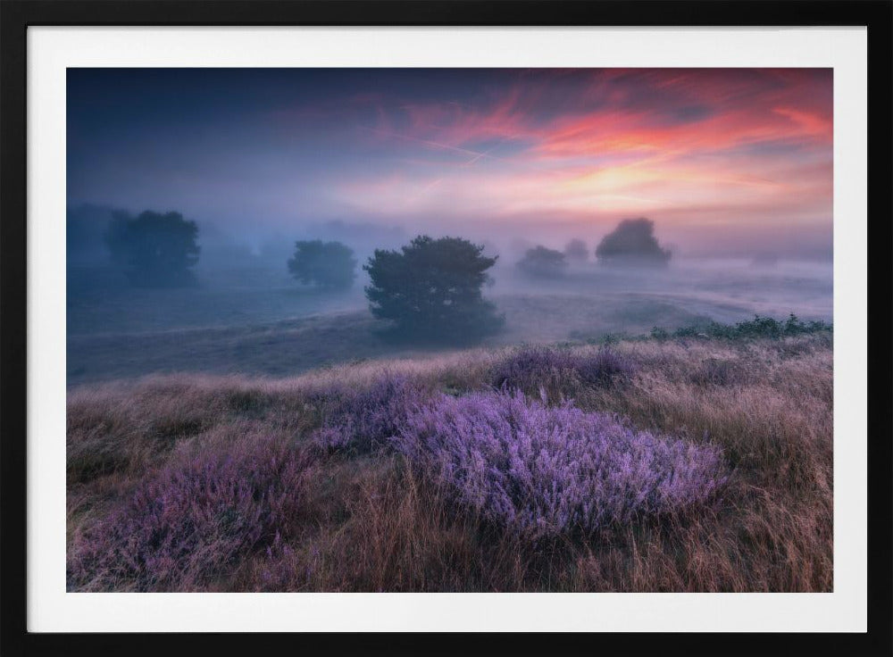 „Die Farben der Heide“ | Poster