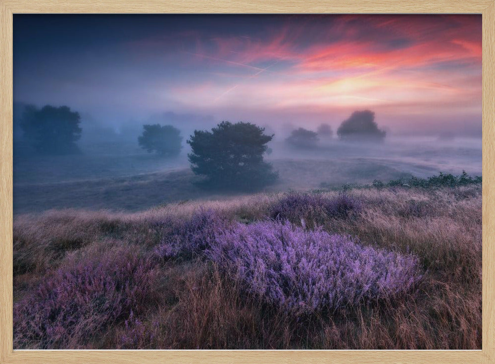 „Die Farben der Heide“ | Poster