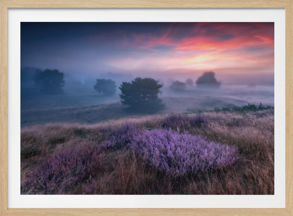 „Die Farben der Heide“ | Poster