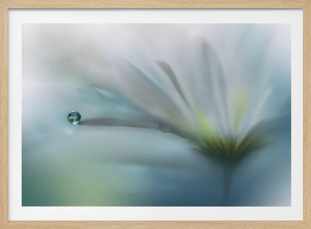 Felder der Hoffnung.. | Poster