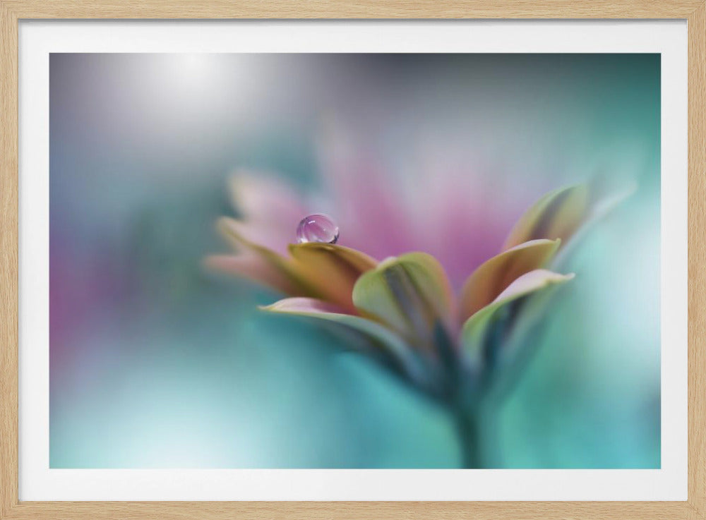 Erinnerungen ans Meer.. | Poster