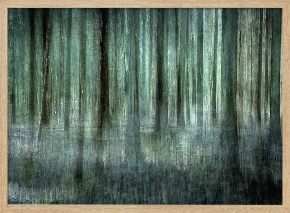 Waldlicht | Poster