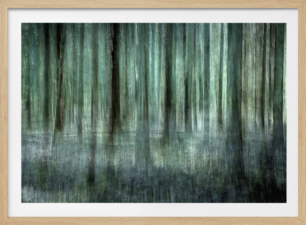 Waldlicht | Poster