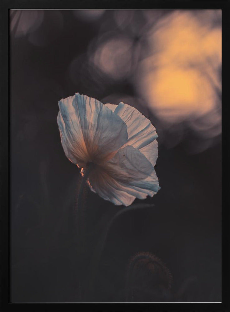 Letzter Strahl | Poster