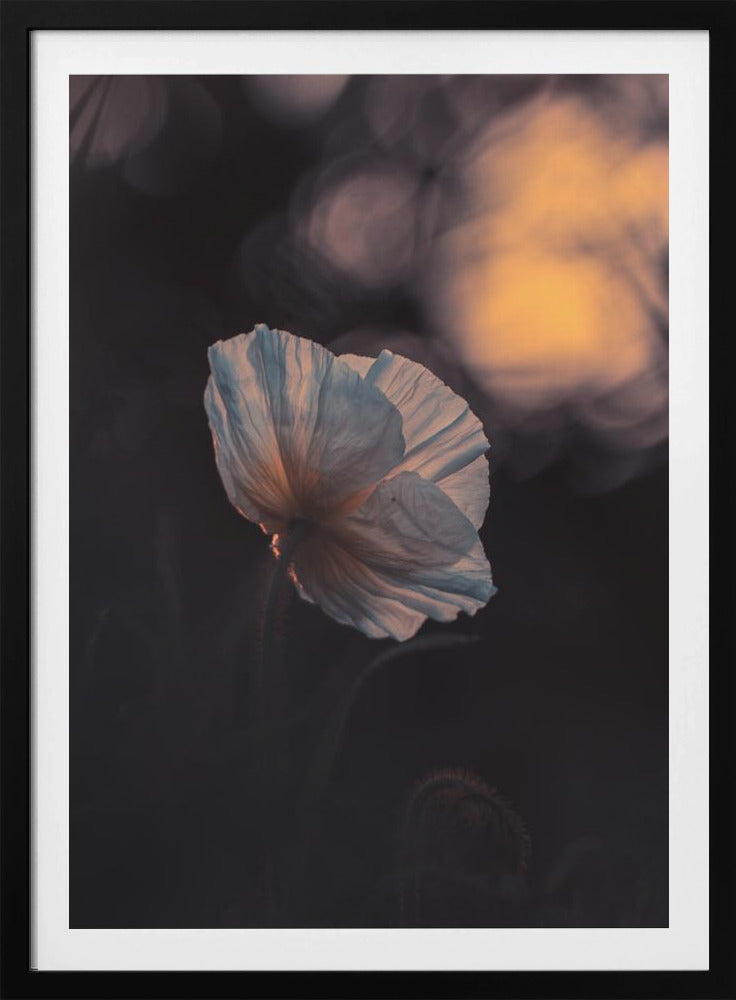 Letzter Strahl | Poster
