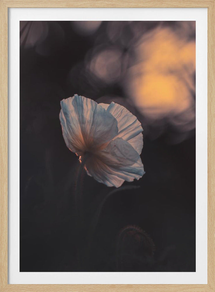 Letzter Strahl | Poster