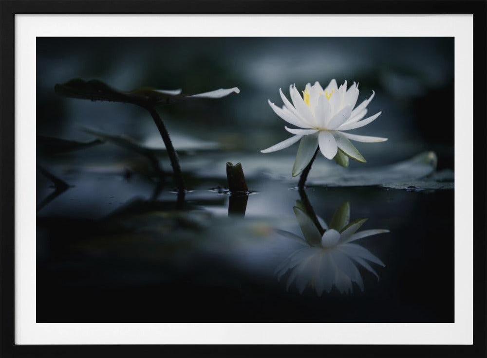 Reflection | Poster