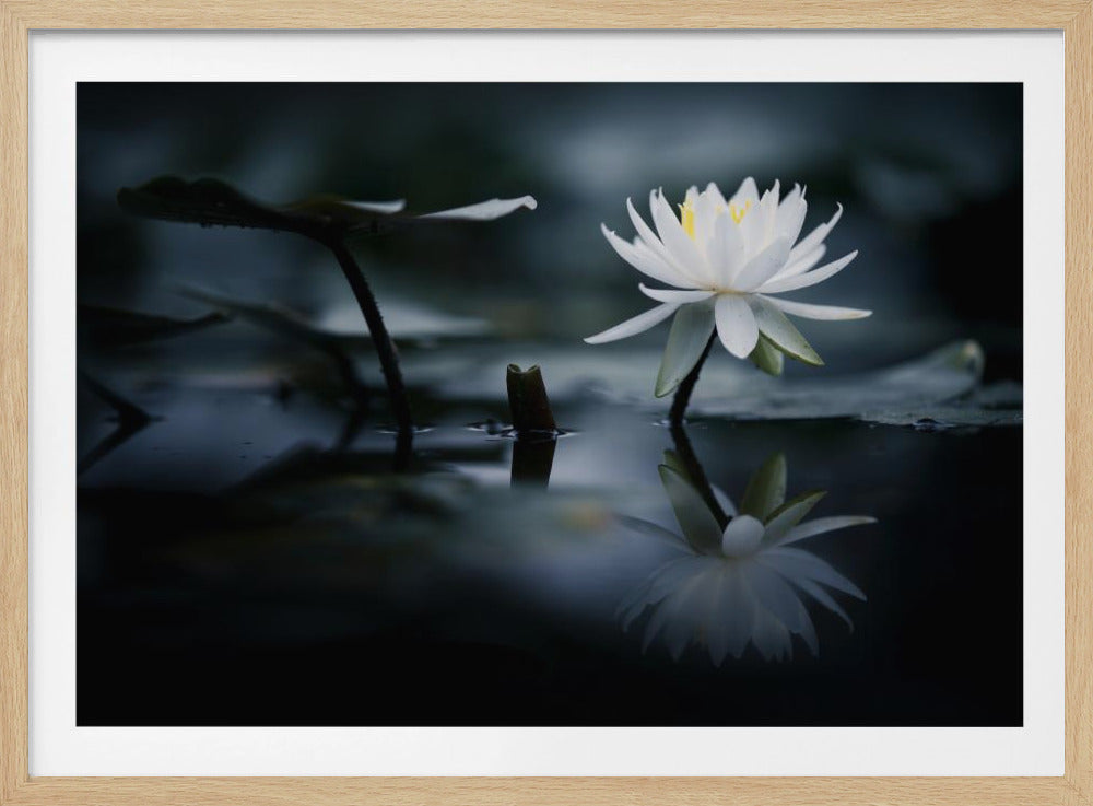 Reflection | Poster