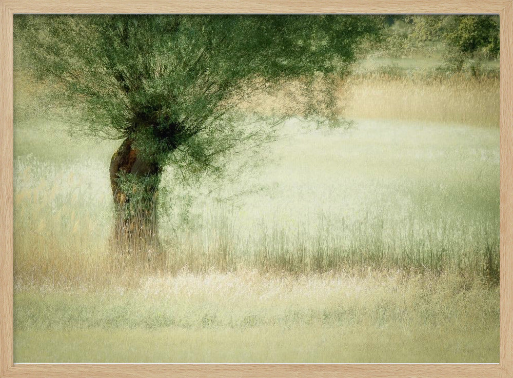 Willow | Poster