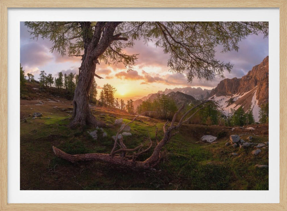 Magischer Morgen | Poster