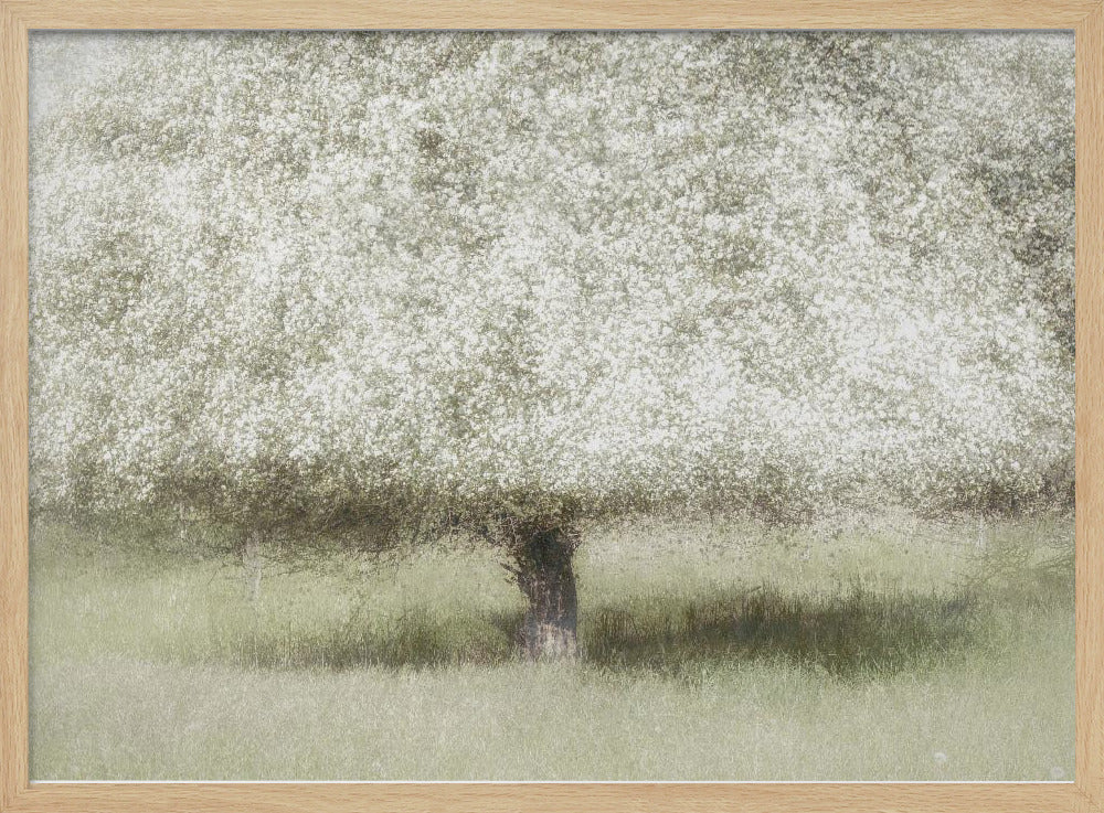 In the backyard | Poster