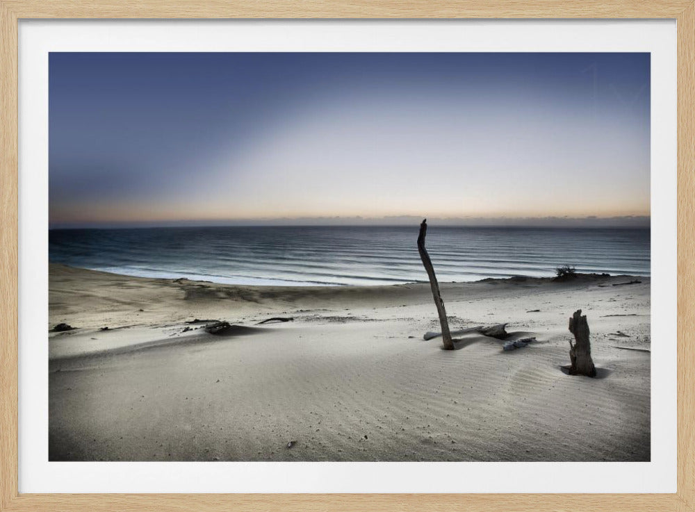 Greif nach der Sonne | Poster