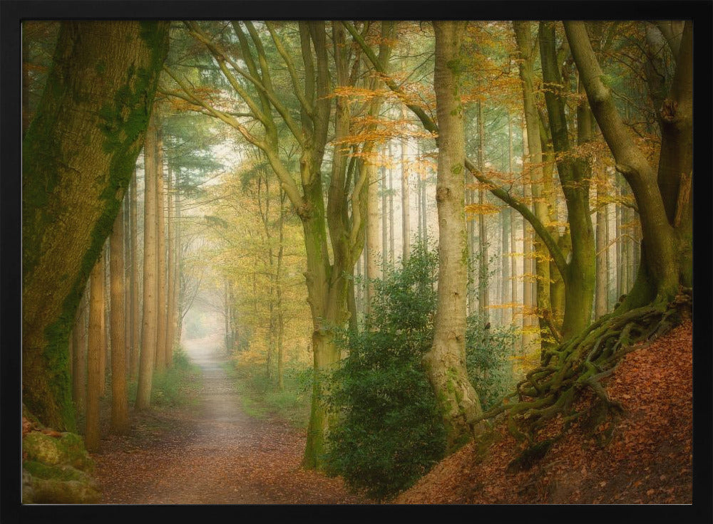 Nebel folgen | Poster