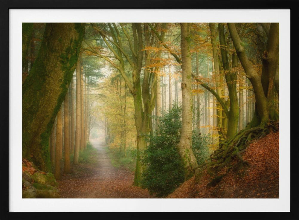 Nebel folgen | Poster