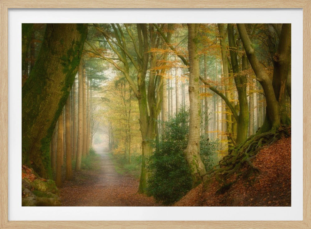Nebel folgen | Poster