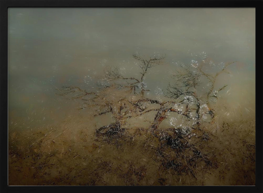 Old tree | Poster