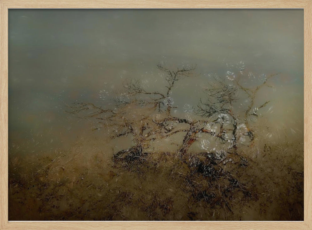 Old tree | Poster