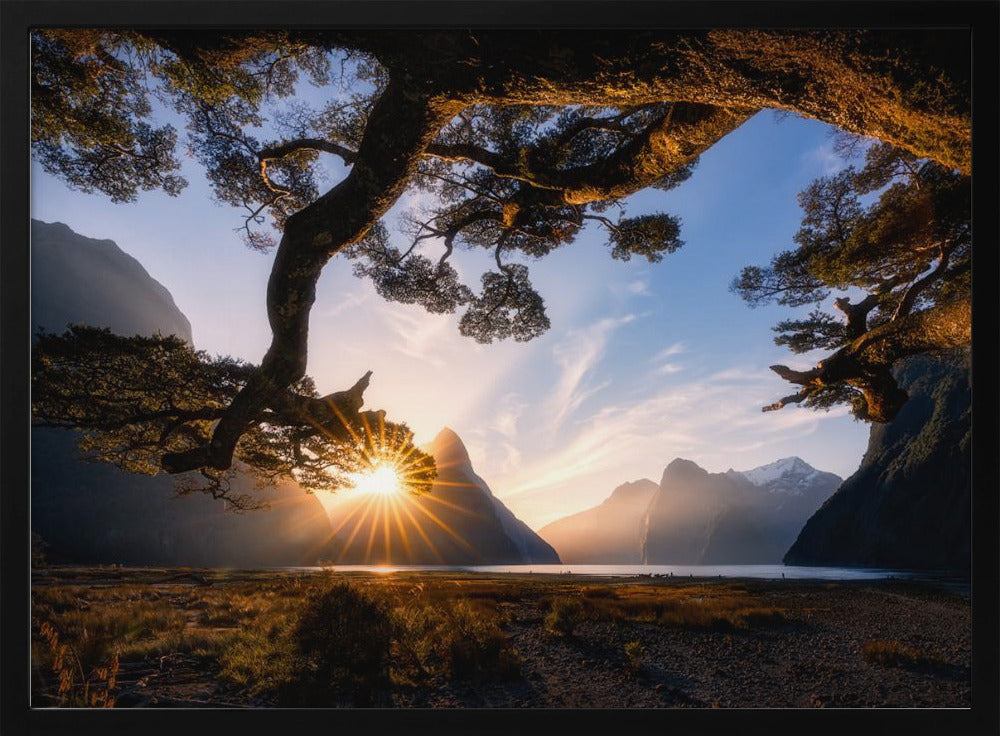 Sonniger Tag im Milford Sound | Poster