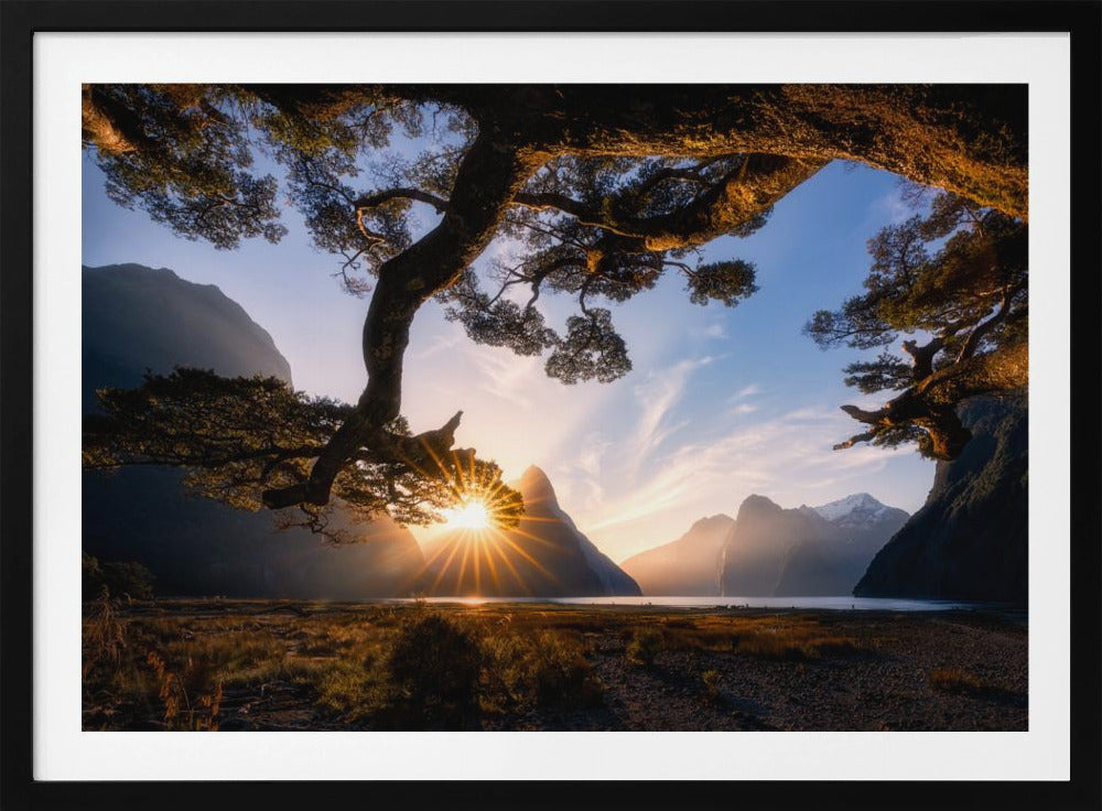 Sonniger Tag im Milford Sound | Poster