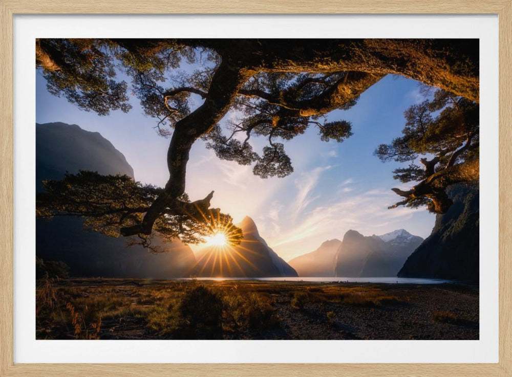 Sonniger Tag im Milford Sound | Poster