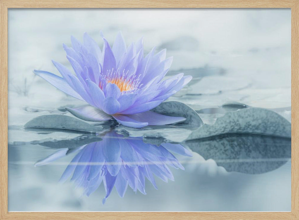 Reflection | Poster