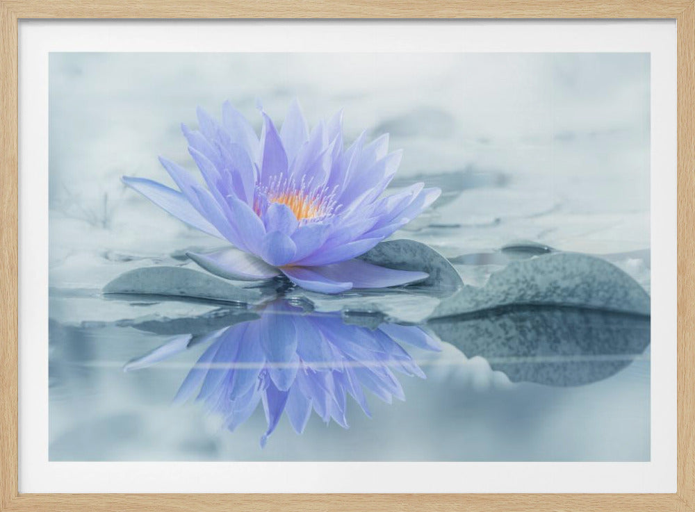 Reflection | Poster