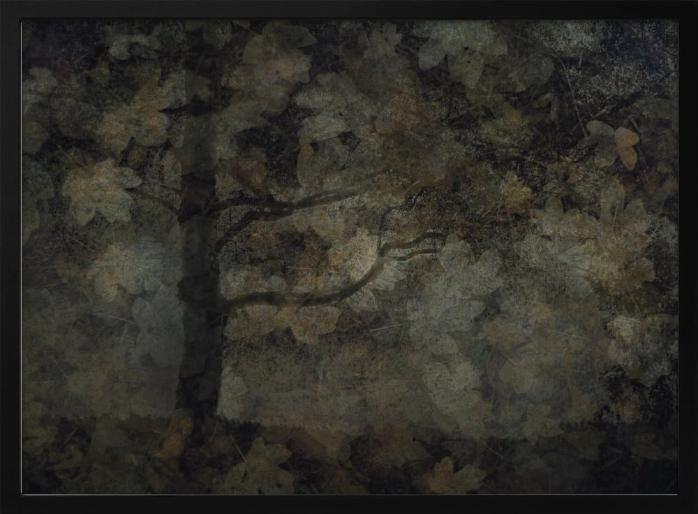 Dunkler Wald | Poster