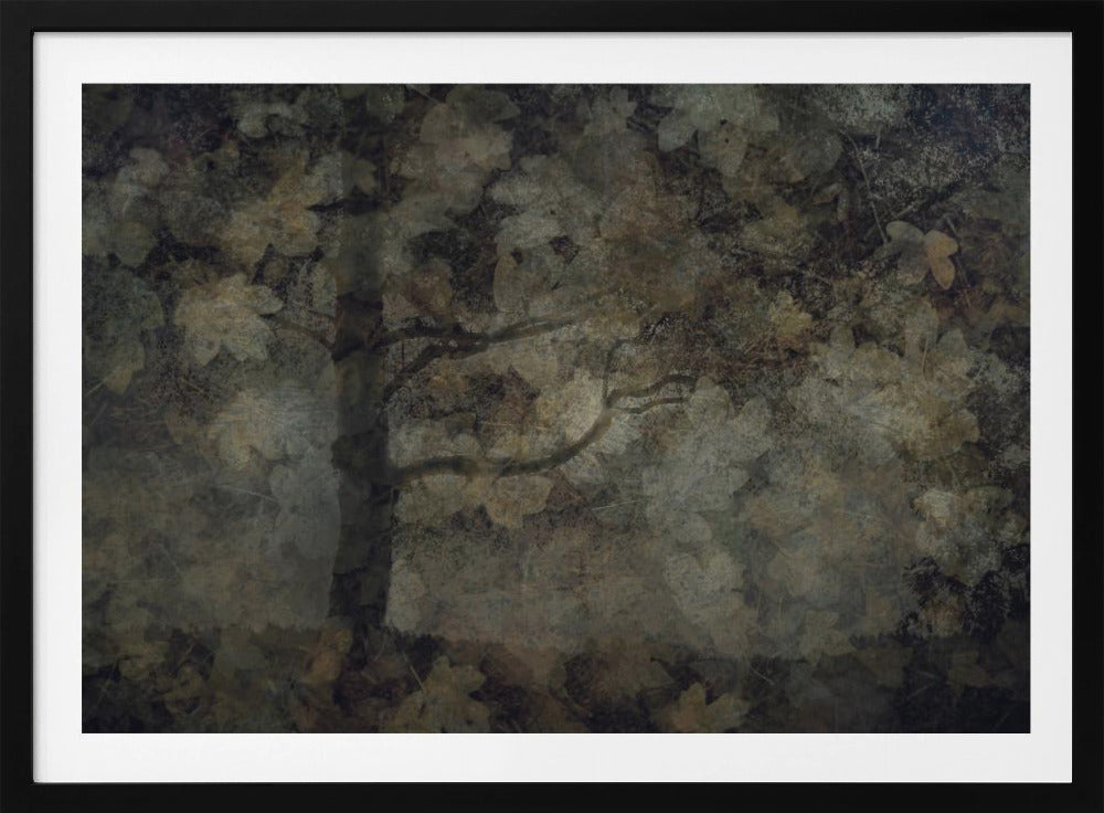 Dunkler Wald | Poster