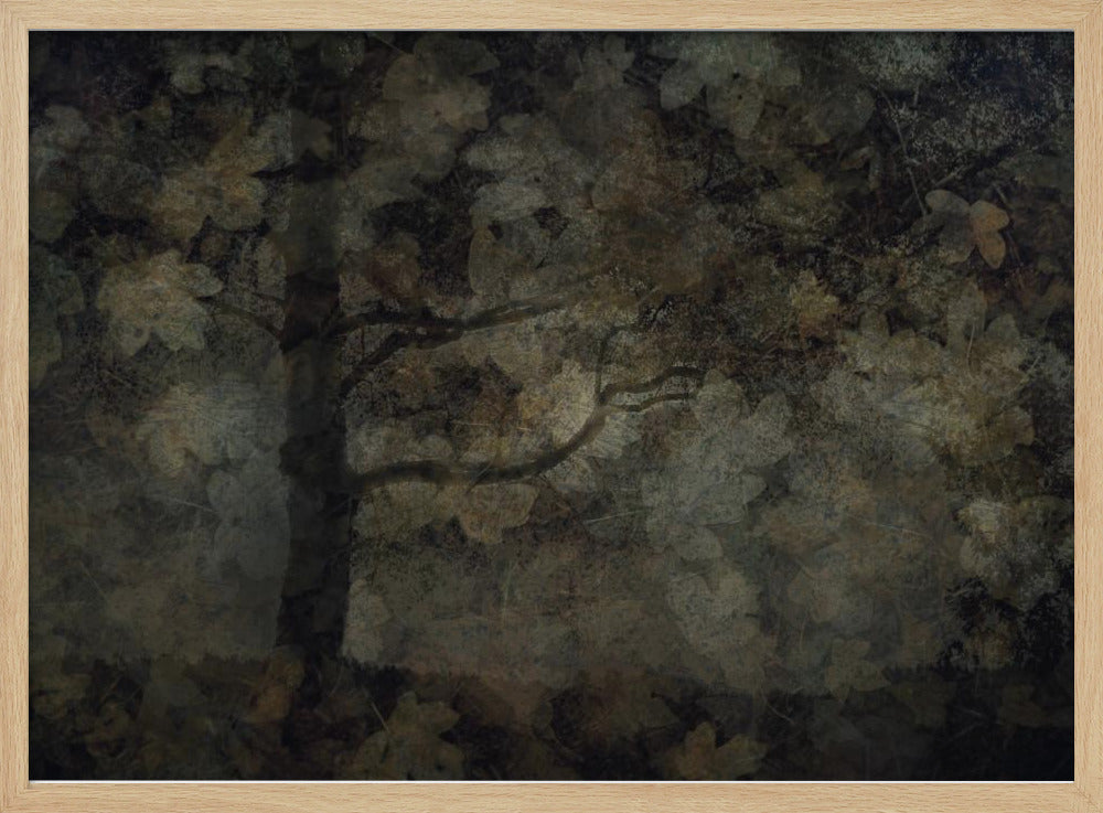 Dunkler Wald | Poster