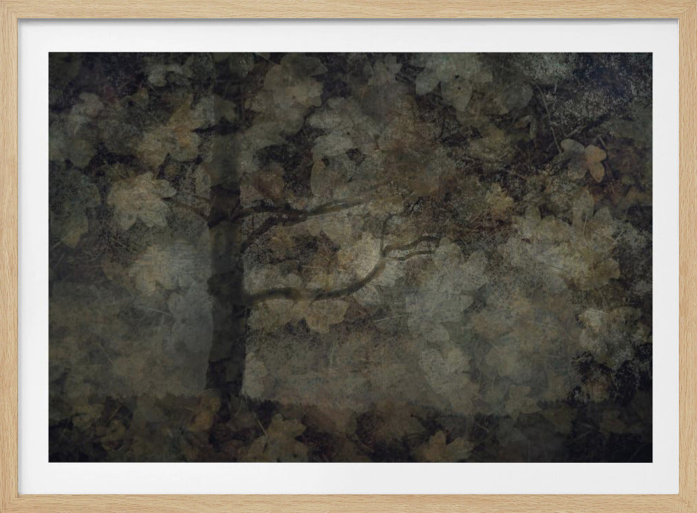 Dunkler Wald | Poster