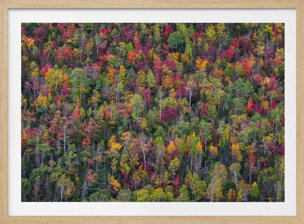 Farbpalette | Poster