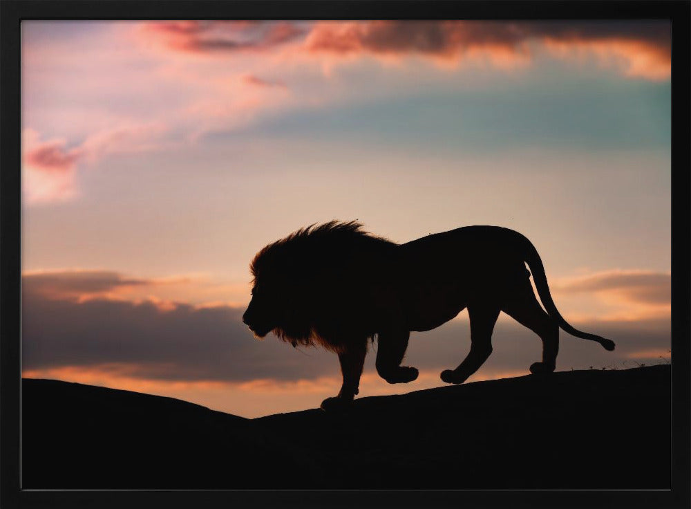 Sonnenuntergang in der Serengeti | Poster