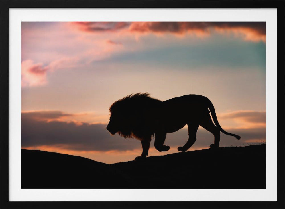 Sonnenuntergang in der Serengeti | Poster