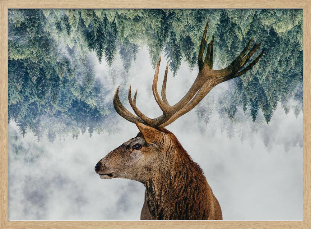 Der Hirsch und der Wald | Poster