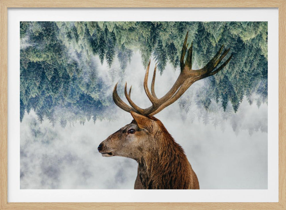 Der Hirsch und der Wald | Poster