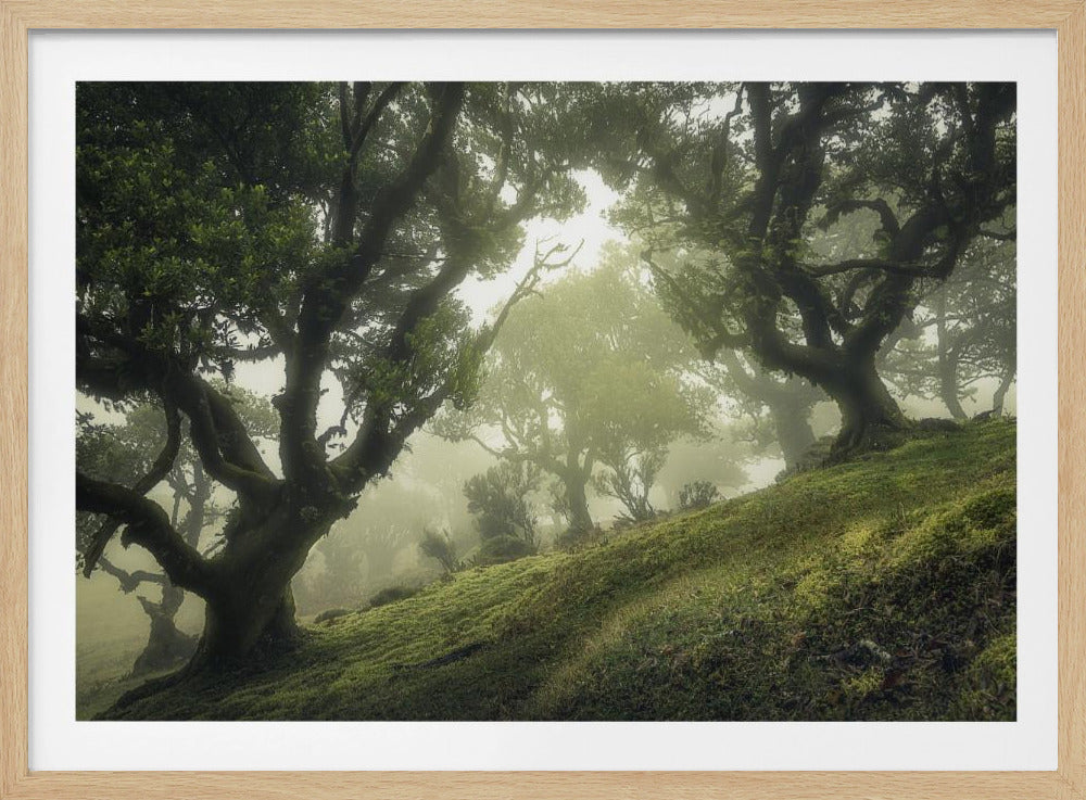 Zauberwald | Poster