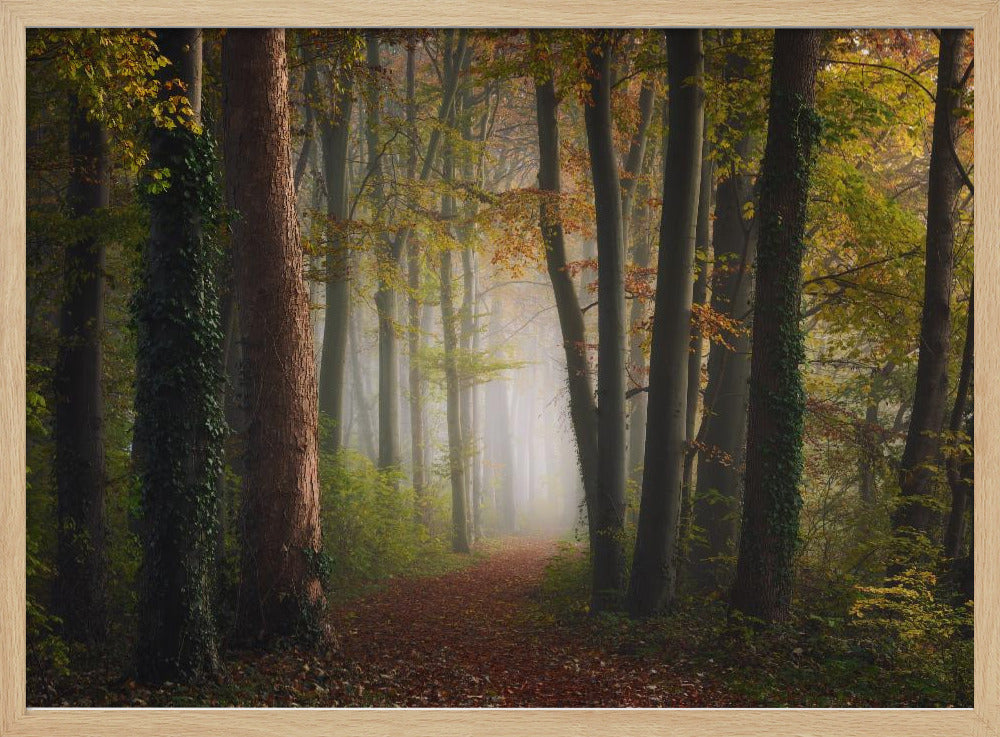 Bunter Herbstwald | Poster